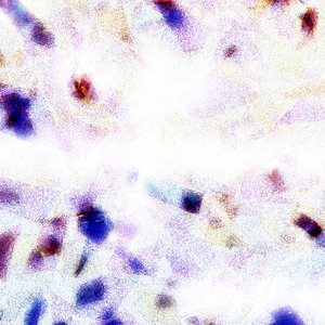 亚洲老女人色吧
